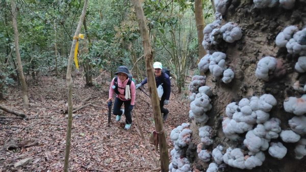 衣丁山單攻初體驗2025年3月30日2749810