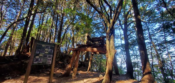 谷關七雄老大-八仙山 聖誕節大台中APP完登谷關七雄第二輪1972069