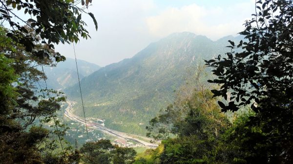 谷關七雄之首➡️八仙山(松鶴上八仙山)302213