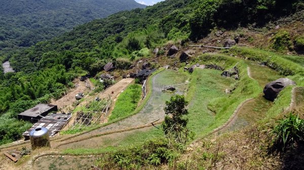 大崎頭梯田,坪頂古圳2208618