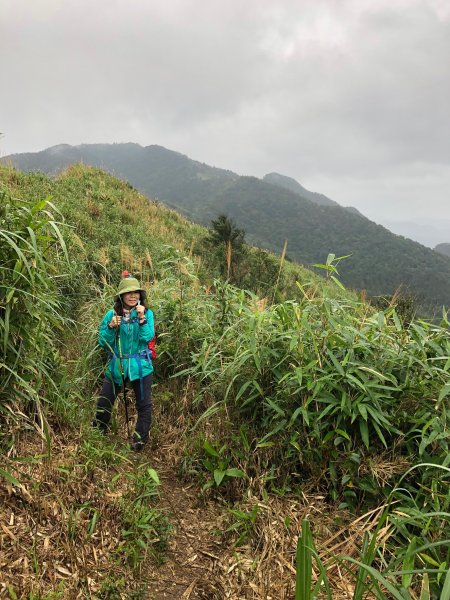 糜爛山友:瑞芳耍廢.五四縱走514587