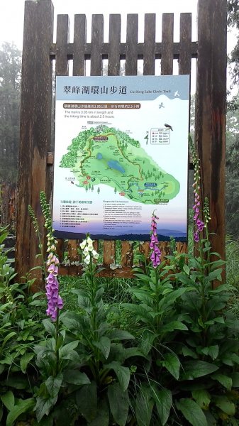 藏身於雲霧中的湖泊~翠峰湖467019