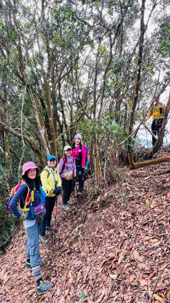 🌈1/18(六)小百岳雙收~大橫屏山+九份二山順遊賞梅🌈FB：熊熊趴爬走 歡迎加入2692538