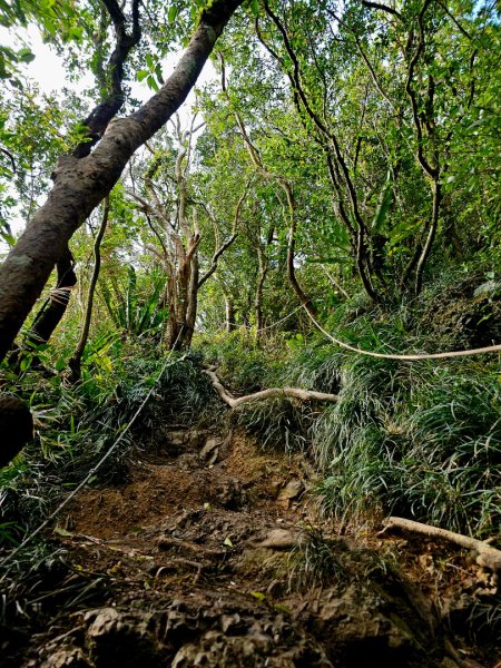 女仍山-小百岳#79-屏東縣獅子鄉2732110