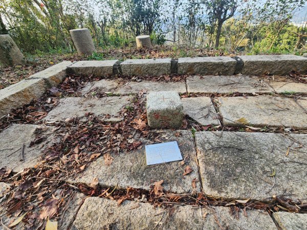 2026022面桶寮山小分林山大分林山3013054