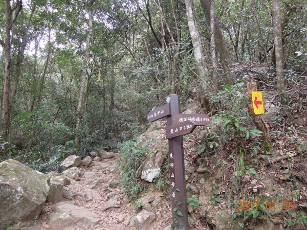 20170125_谷關七雄之五-東卯山854477