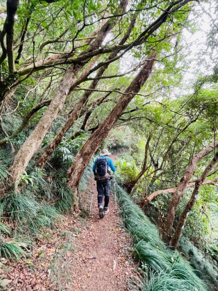 1150124帽子山。25落山風藝術季。2987159