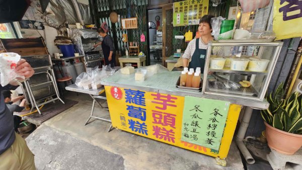 20260308內灣三山(內灣山-麥樹仁山南峰-麥樹仁山-舊砲台山-加那排山-白石湖山)3013433
