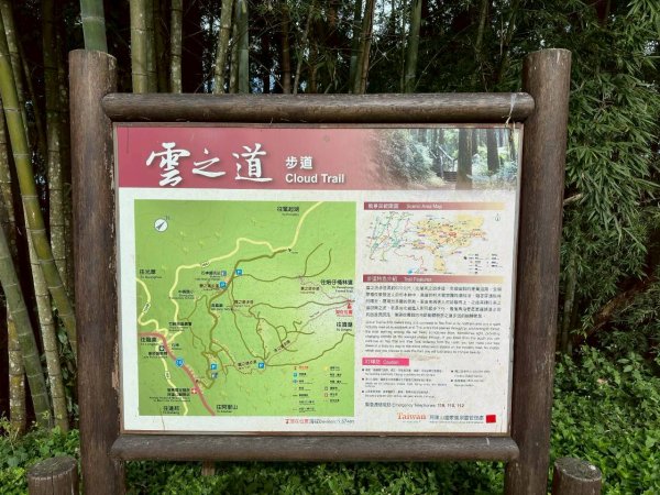 20251029石棹茶、霧、雲、霞、櫻、愛之道 樂野山 霹靂山2926624