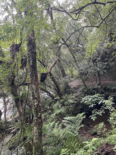 南北豹子廚山2925455