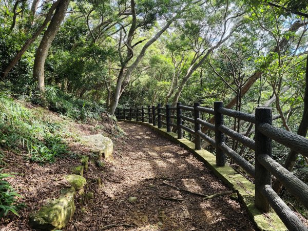 [皮皮獅動物派對-03/10] 2026_0822 石光古道(老虎山步道)3120816