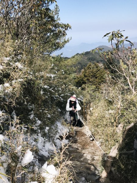 郡大山｜踩著半雪白的路浪漫上山964069