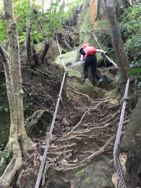 猴山岳環走二格山