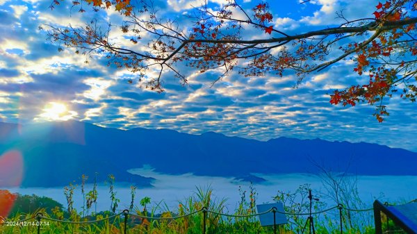 二訪馬拉邦山，解鎖 #琉璃光雲海 #日出雲海  #血月 #斜射光 #楓葉紅了！2668626