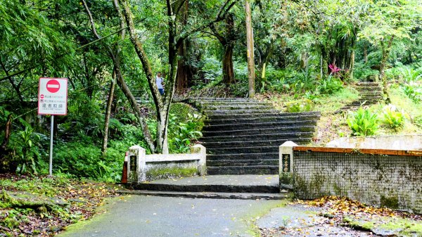 大尖山步道2833787