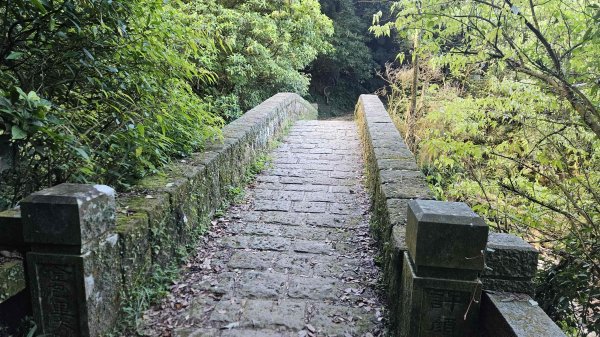 20251007冷水山西峰-三重橋山-挑硫古道-大油坑山前峰-大油坑山2907646