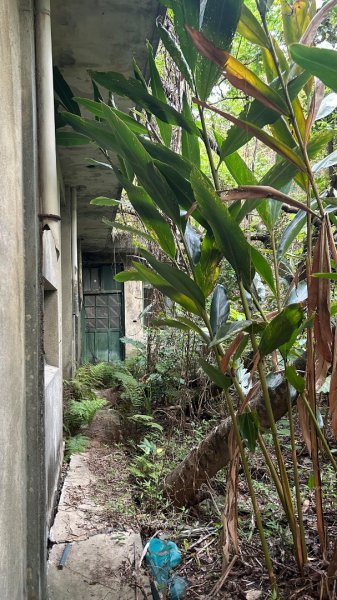 士林劍潭山軍事地景漫走3048866