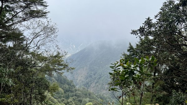 裡冷林道上八仙山標準路線2051821