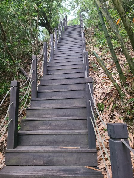 大坑10號提前修好啦(10號上+6號+7號下)2753638