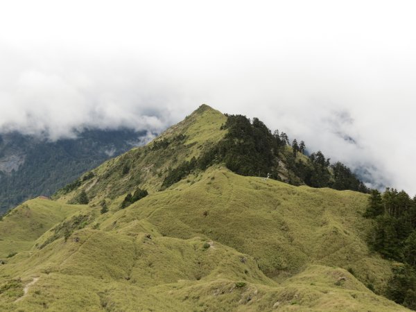 合歡山東峰-尖山-小奇萊-石門山2513138