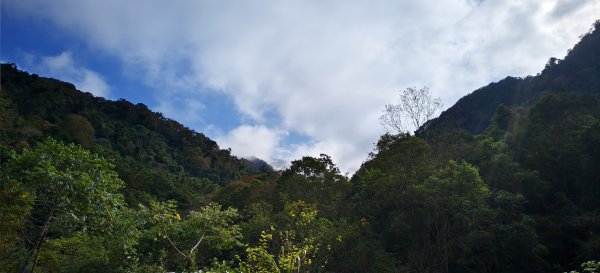 2025/12/25_冬瓜山神木步道2971977