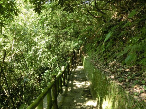 貴子坑水土保持園區．親山步道．露營場168374