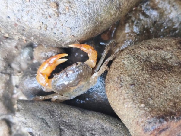 三貂嶺瀑布百大任務解鎖2957921