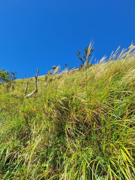 礁溪烘爐地山202509282900330