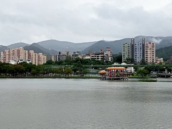 大湖公園《門庭若市》1903717