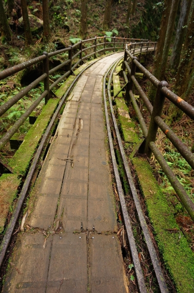 特富野古道91008