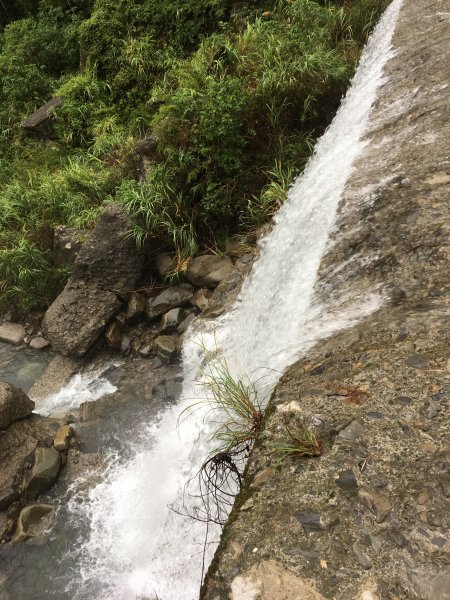 20180722_內鳥嘴山851788