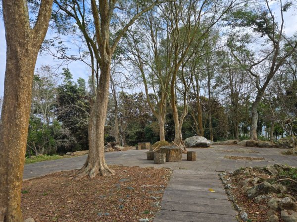 石硦林場（桶頭山）2991267