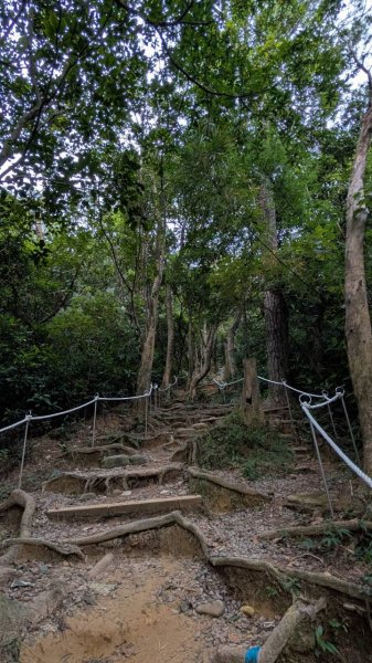 飛鳳山步道3118570