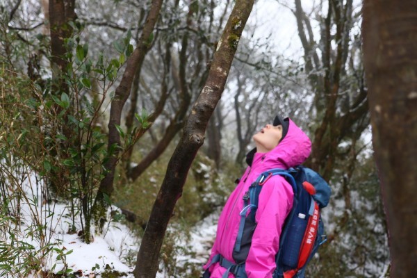 2018/01/13 北插天山霧淞剉冰250788