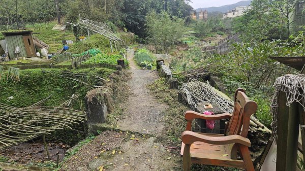 20260224興基坑古道-淡基橫斷古道-界寮縱走o型3007573
