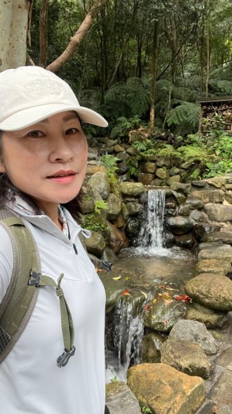 小百岳_大崙頭山2959957