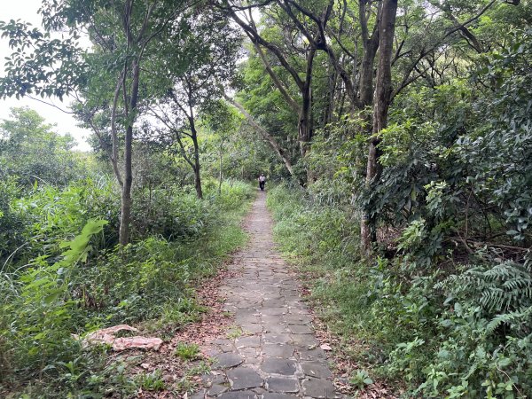 [皮皮獅探險隊-02/10] 2025_0706 漢卿步道、秀才步道2830922