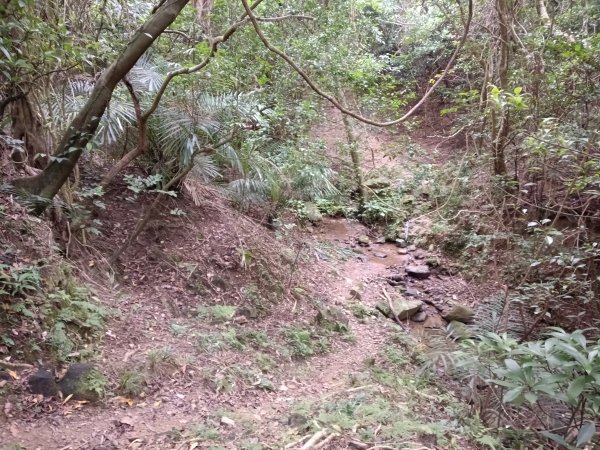 貢寮區蚊子坑古道+和美池+和美山+北勢坑古道2990875