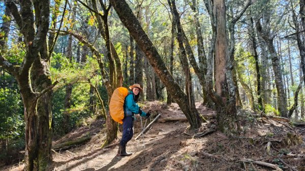 中央尖山四天20260412~153037968