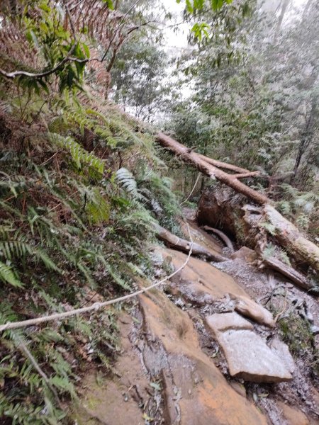 雪季北得拉曼2956430