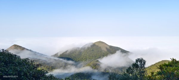 #大屯山 #雲海 3/223019609