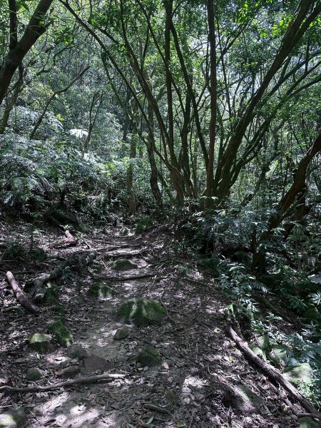 台北大縱走第四段2766846