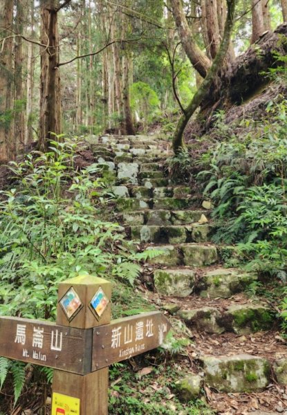 【中級山】五星級步道，谷關七雄馬崙山（八壯士進，斯可巴出）2744961