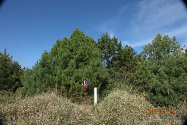 南投 仁愛 武法奈尾山2133794