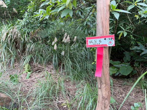 新北 金瓜石 煙囪山2981265