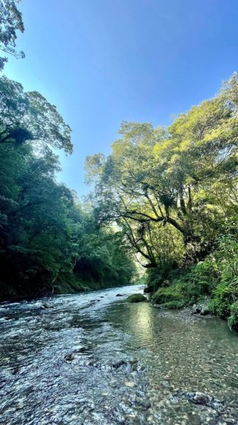 哈盆越嶺古道秘境釣魚露營趣1899388