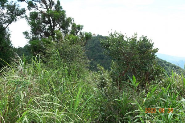 基隆 頂寮山、龍門山、五分山、頂子寮山2265945