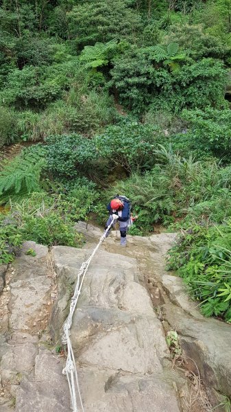 瑞芳小錐麓步道441163