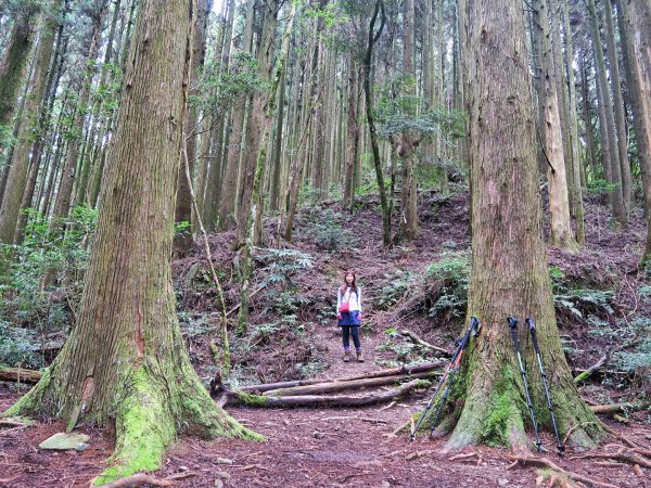 李棟山 大混山縱走1111619