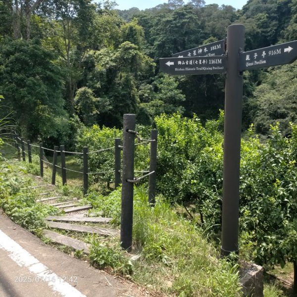 皮皮：六寮古道+獅山古道2838688